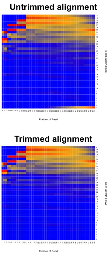 Raw vs trimmed alignment